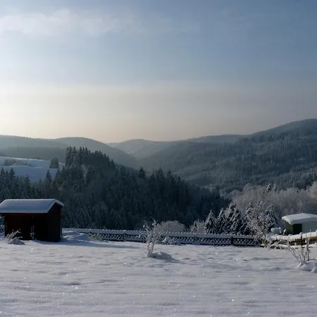 Hoffmanns Waldfrieden Garni Ξενοδοχείο Sankt Andreasberg