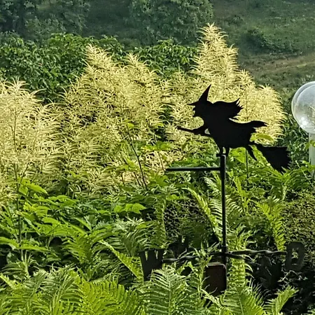 Hoffmanns Waldfrieden Garni
